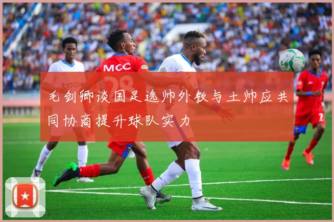 毛剑卿谈国足选帅外教与土帅应共同协商提升球队实力